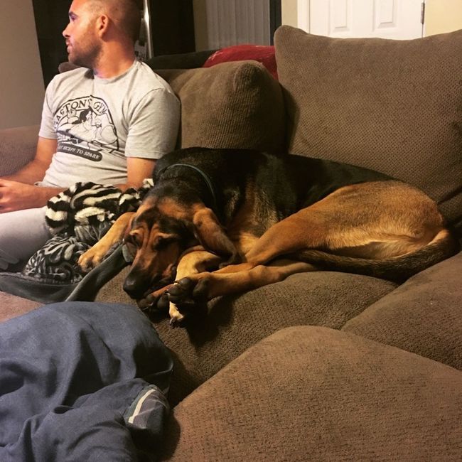 Nwr- show me your fur babies