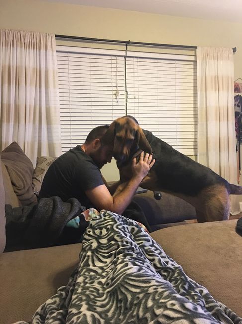 Nwr- show me your fur babies