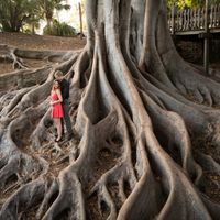 Intro From San Diego