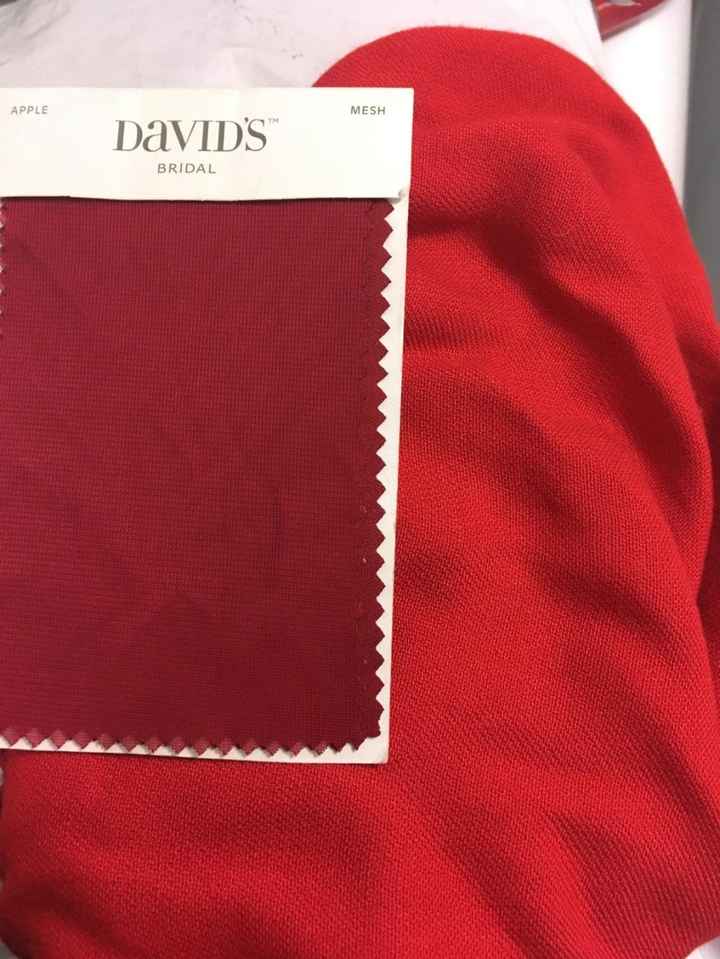 David's Bridal Red Pashmina