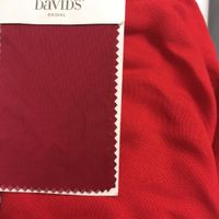 David's Bridal Red Pashmina