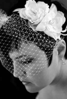 Hairpiece vs Veil