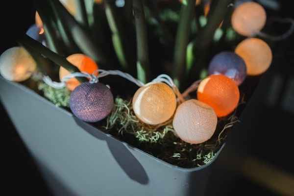 Our Pro BAAAAAAM! (Pic heavy)