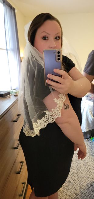 $14.99 Veil!!! - 1