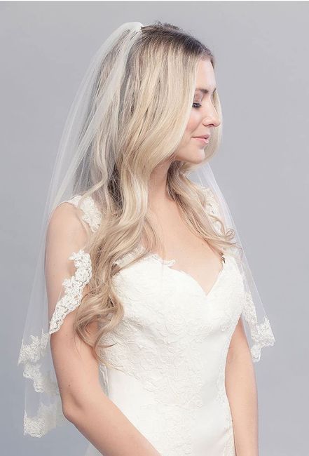 $14.99 Veil!!! - 2