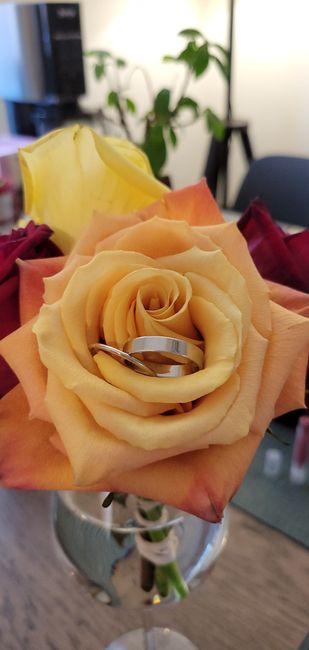 Show me your "plain" wedding bands! 💍 - 1