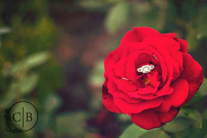 Engagement Picture Poses