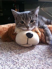 NWR: Fur Baby! :)