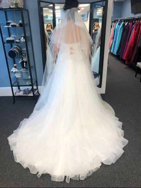 Stuck between three dresses 5