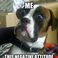 Today calls for MEMES...