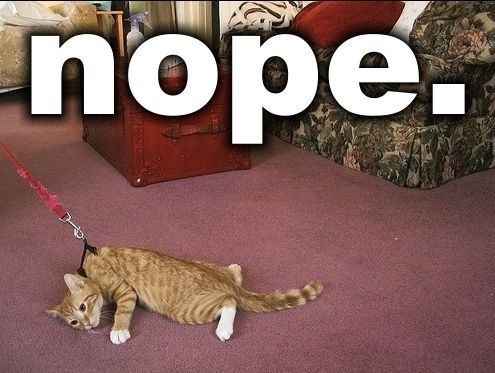 Because we could use a laugh today ...