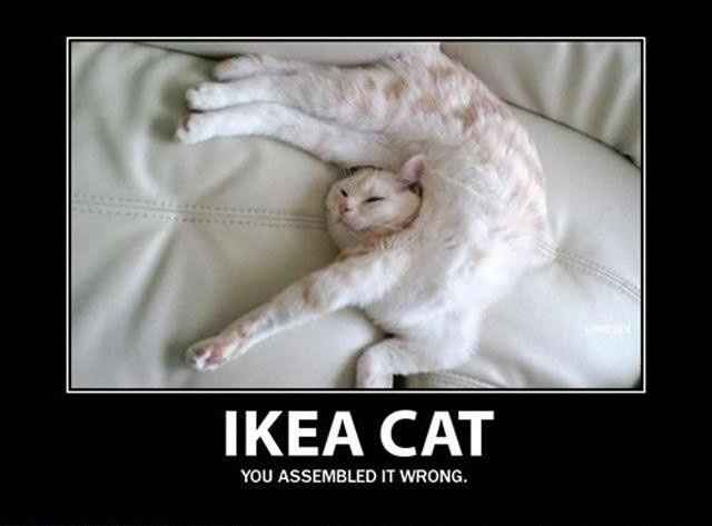 Because we could use a laugh today ...