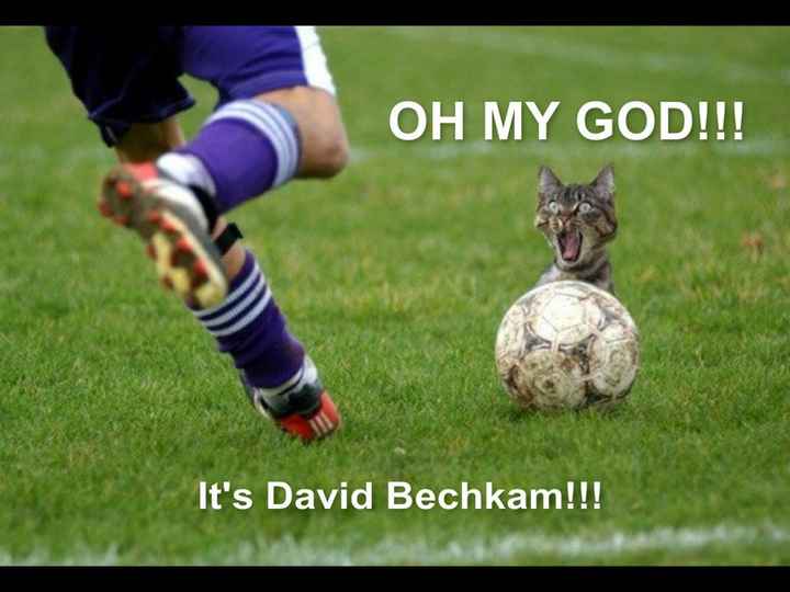 Because we could use a laugh today ...