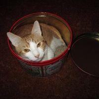 Furbabies!!! Lets show them off!