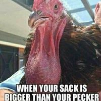 NWR: make a girl laugh