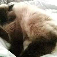 Just need to vent and cry a little