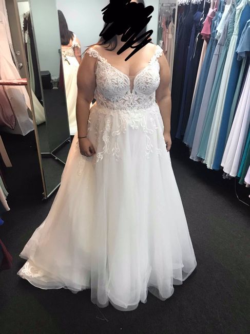 dress I ended up getting