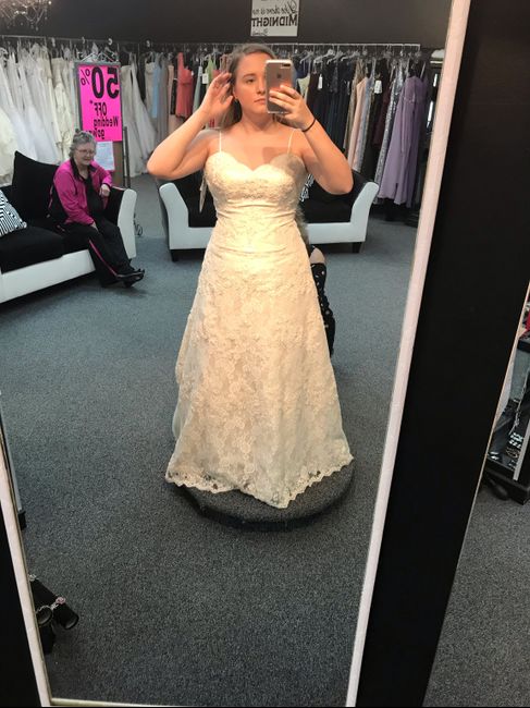 Dress Alteration Opinions Needed - 1