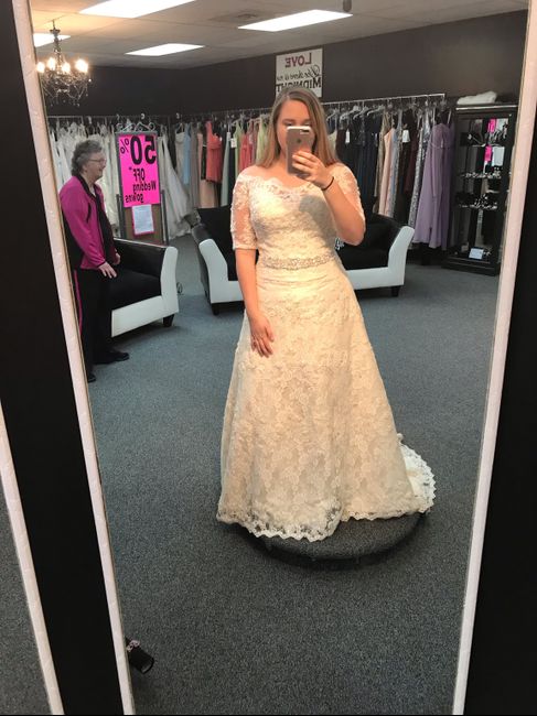 Dress Alteration Opinions Needed 3