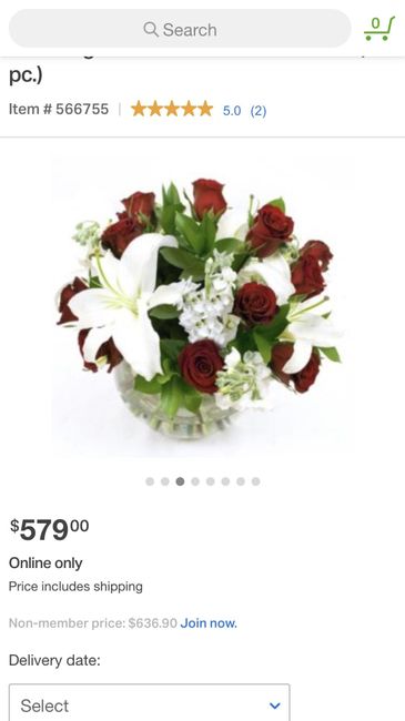 More bang for your buck?! Flower advice needed - 2
