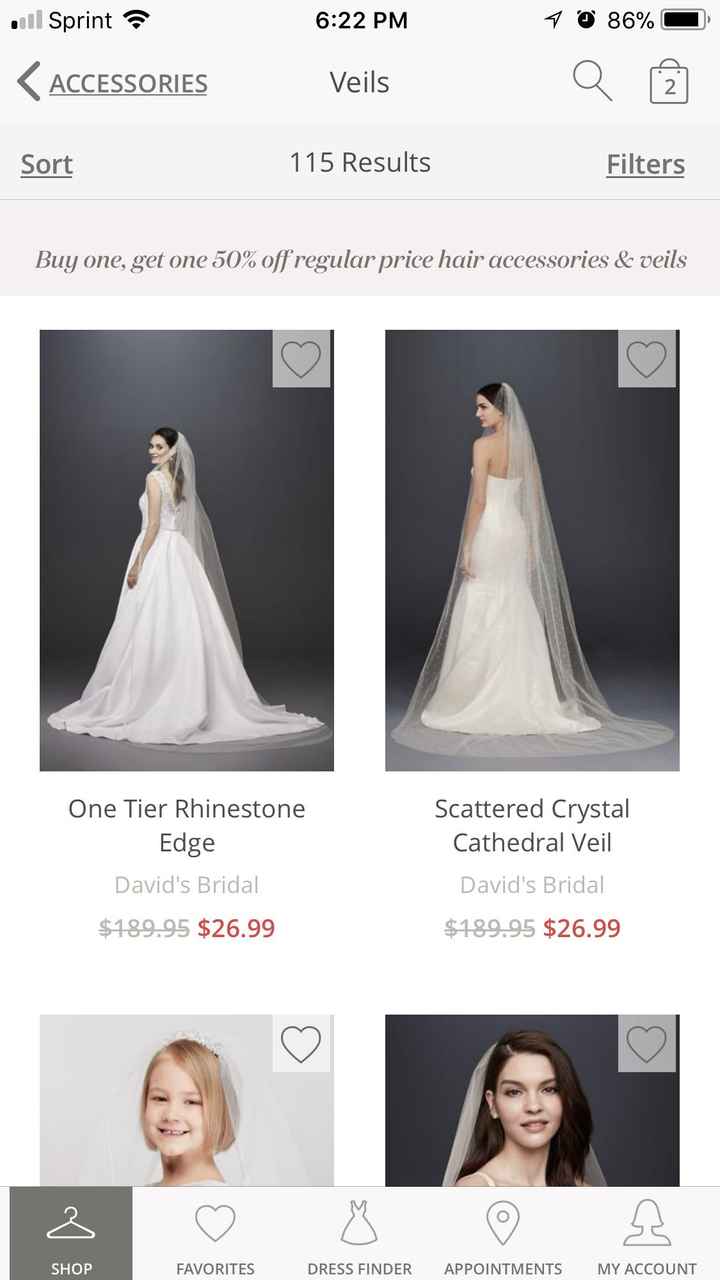 Cathedral veil - 1