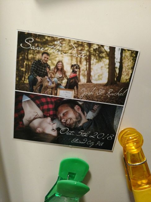 Shutterfly STD Magnets