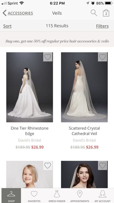 Cathedral veil - 1