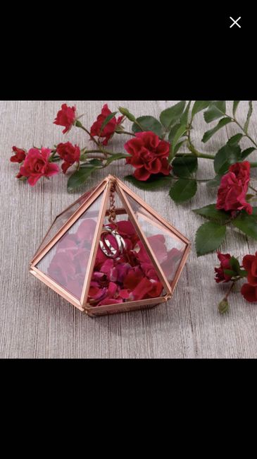 Ring bearer pillow alternatives? 6