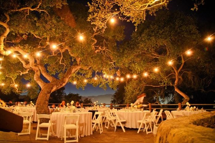 Lighting for outdoor reception - 1