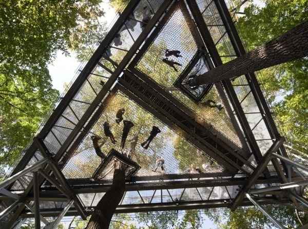 Tree House for the Cocktail Hour - 2