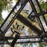 Tree House for the Cocktail Hour - 2