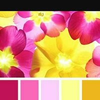 October Wedding Colors