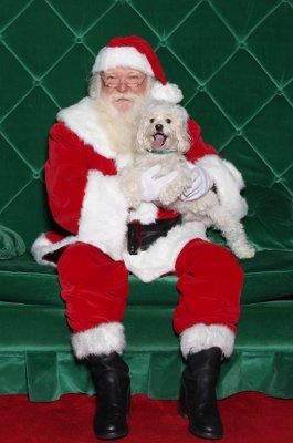 NWR: I want to see your pets!