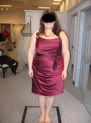 BM dress...can I redo my wedding???
