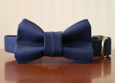Are you (did you) including your pet/fur-baby in your wedding?