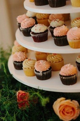 cake/cupcakes