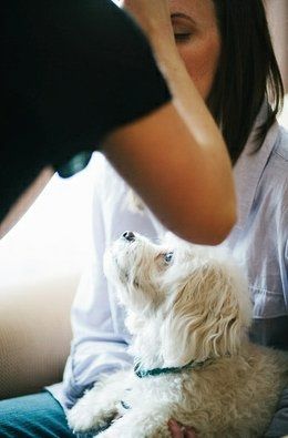 Pet at wedding???