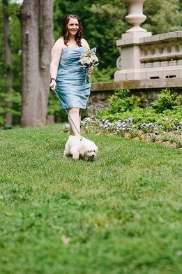 Dogs in Ceremony