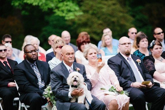 Dogs in Ceremony