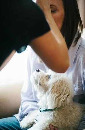 PSA - Martha Gives the Seal of Approval For Pooches of Honor & Wed Party Puppies