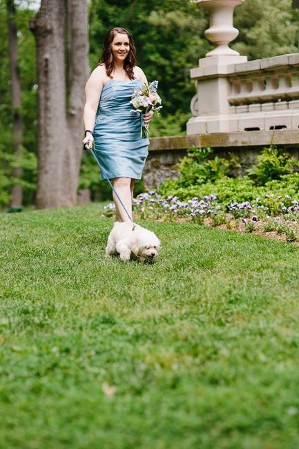 how do you feel about dogs being part of the wedding?