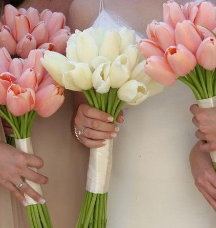 Which Flower?