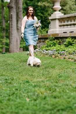 Pet at wedding???