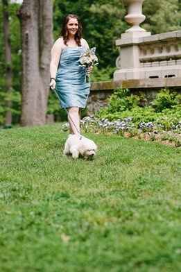 Dogs in Ceremony