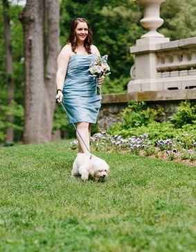PSA - Martha Gives the Seal of Approval For Pooches of Honor & Wed Party Puppies