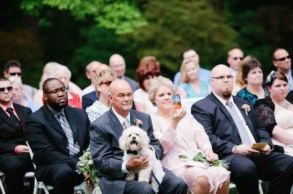 PSA - Martha Gives the Seal of Approval For Pooches of Honor & Wed Party Puppies