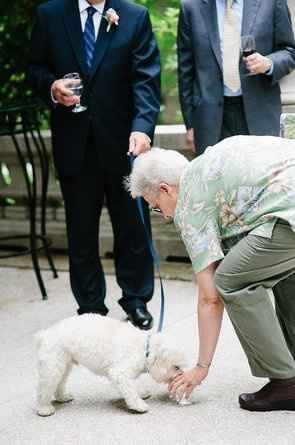 PSA - Martha Gives the Seal of Approval For Pooches of Honor & Wed Party Puppies