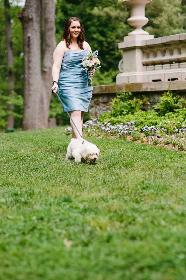 how do you feel about dogs being part of the wedding?