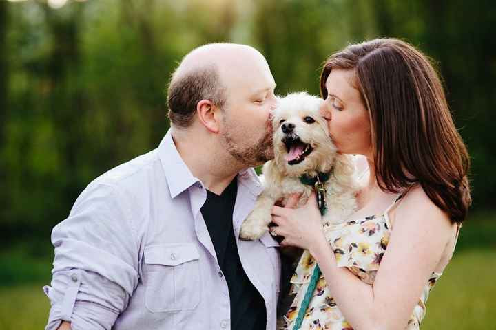 Fur babies and pictures