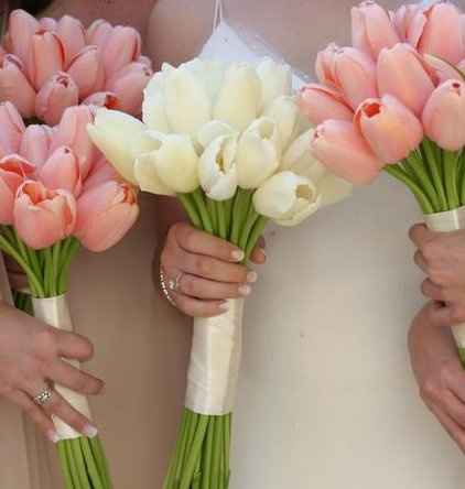 Which Flower?